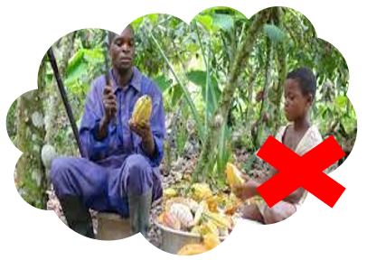 Mission de ECOPAS COOP CA.